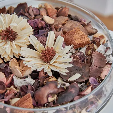 Elegant Riverview In Historical * 리스본